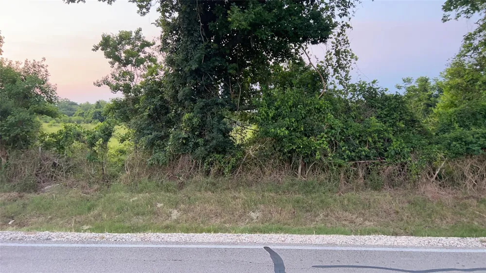 County Road 31 Angleton, TX 77515