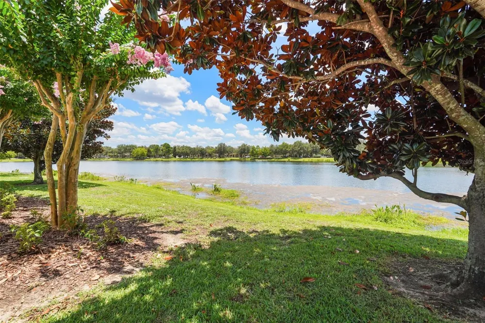 7327 MILLSTONE STREET Windermere, FL 34786