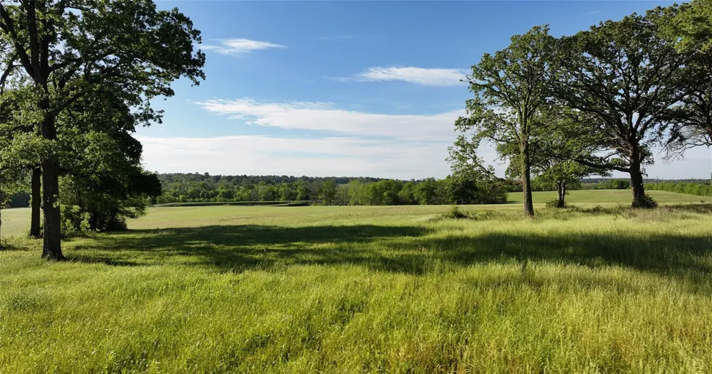 2757 Saint Beulah Chapel Road Montgomery, TX 77316