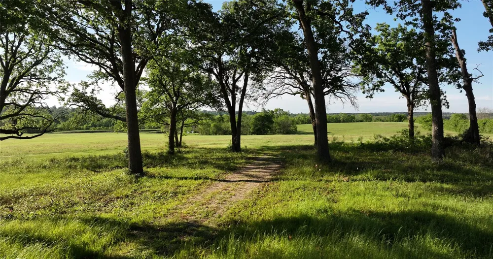 2757 Saint Beulah Chapel Road Montgomery, TX 77316