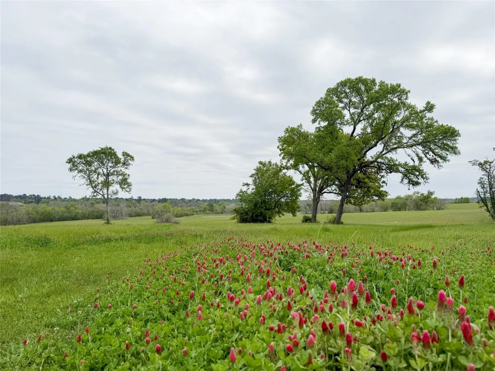 2757 Saint Beulah Chapel Road Montgomery, TX 77316