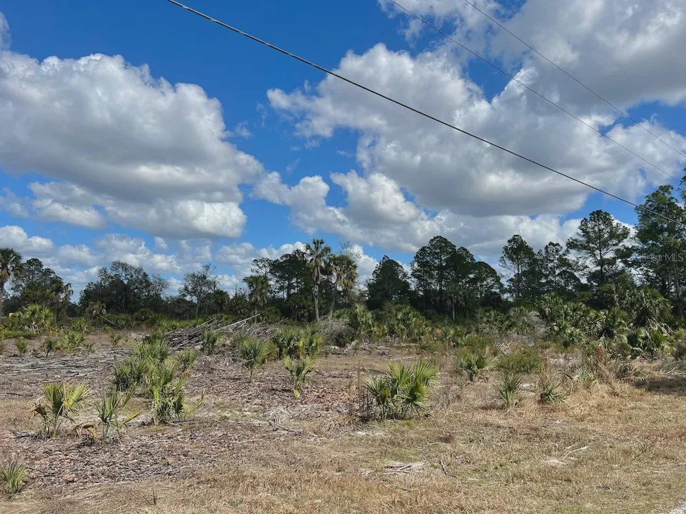 SHILOH ROAD Cedar Key, FL 32625