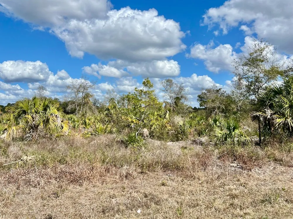 SHILOH ROAD Cedar Key, FL 32625