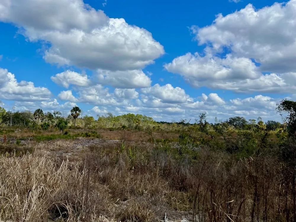 SHILOH ROAD Cedar Key, FL 32625