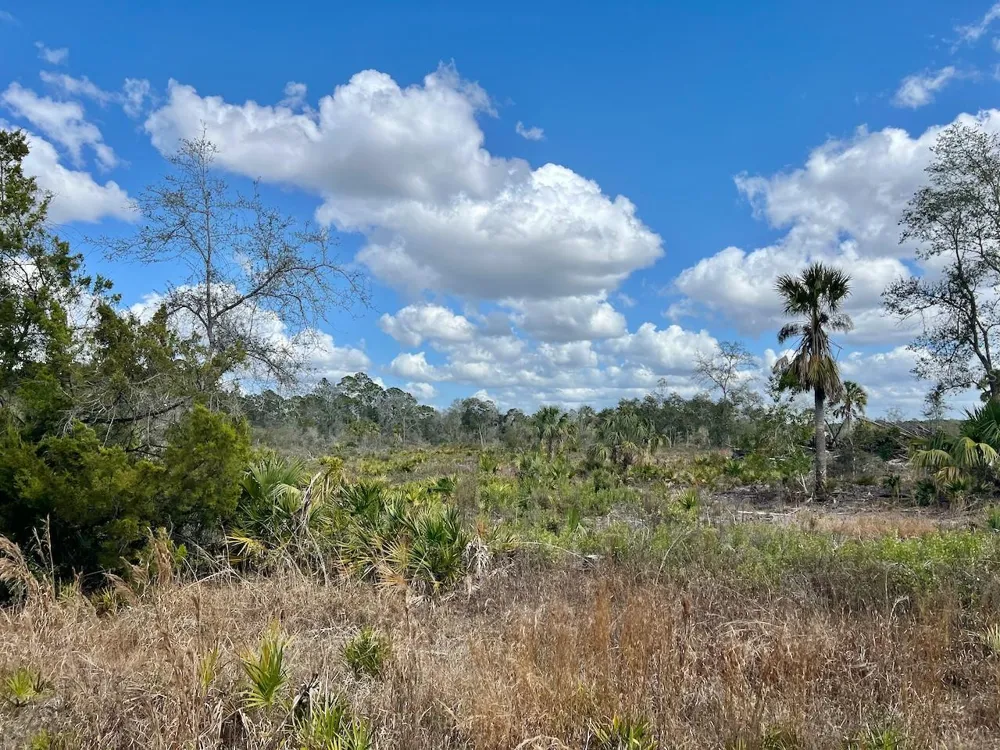 SHILOH ROAD Cedar Key, FL 32625