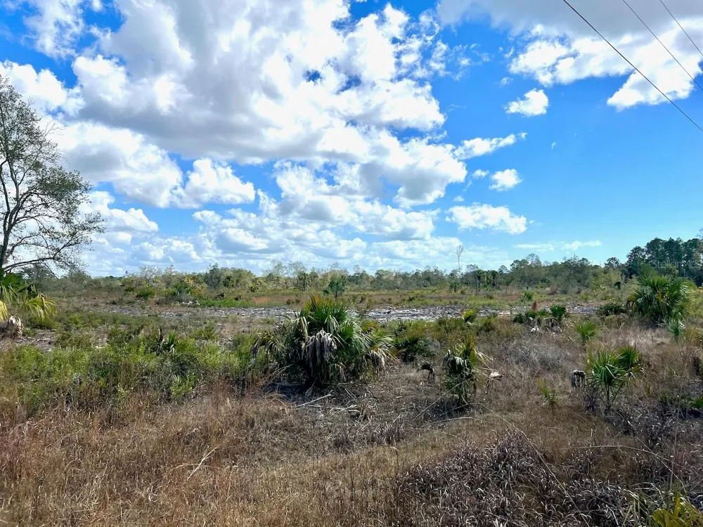 SHILOH ROAD Cedar Key, FL 32625
