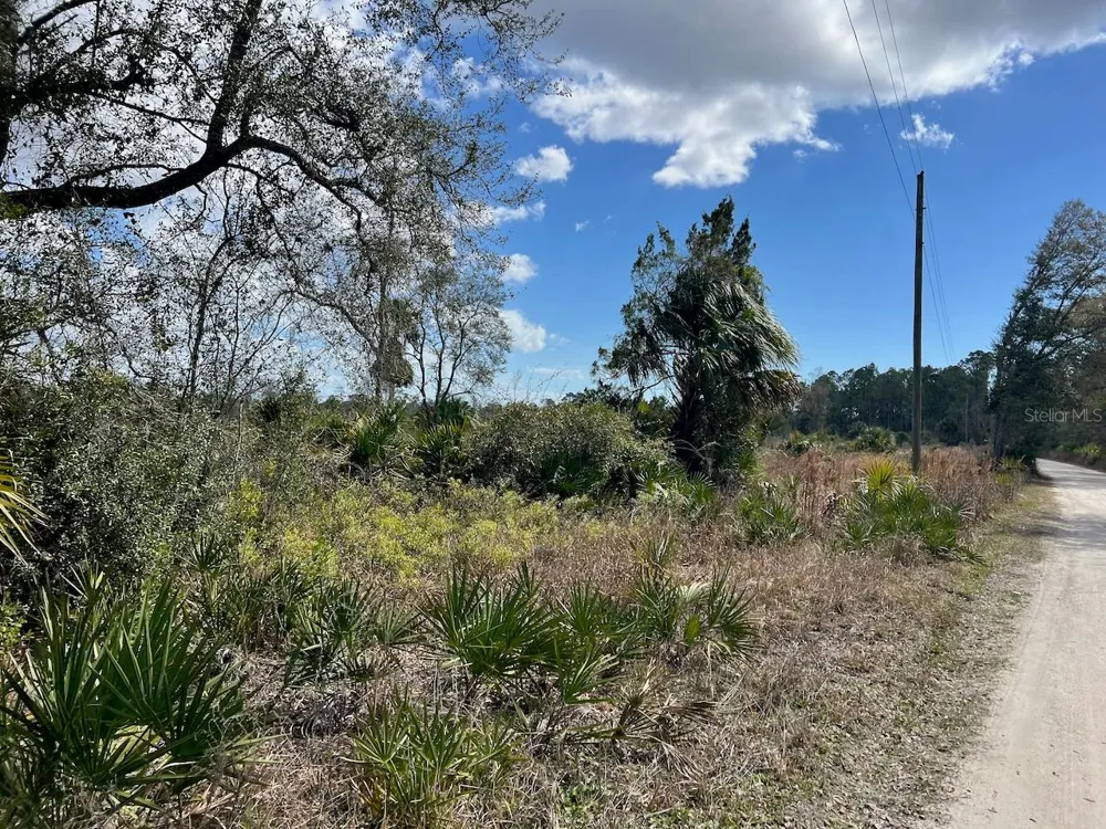 SHILOH ROAD Cedar Key, FL 32625