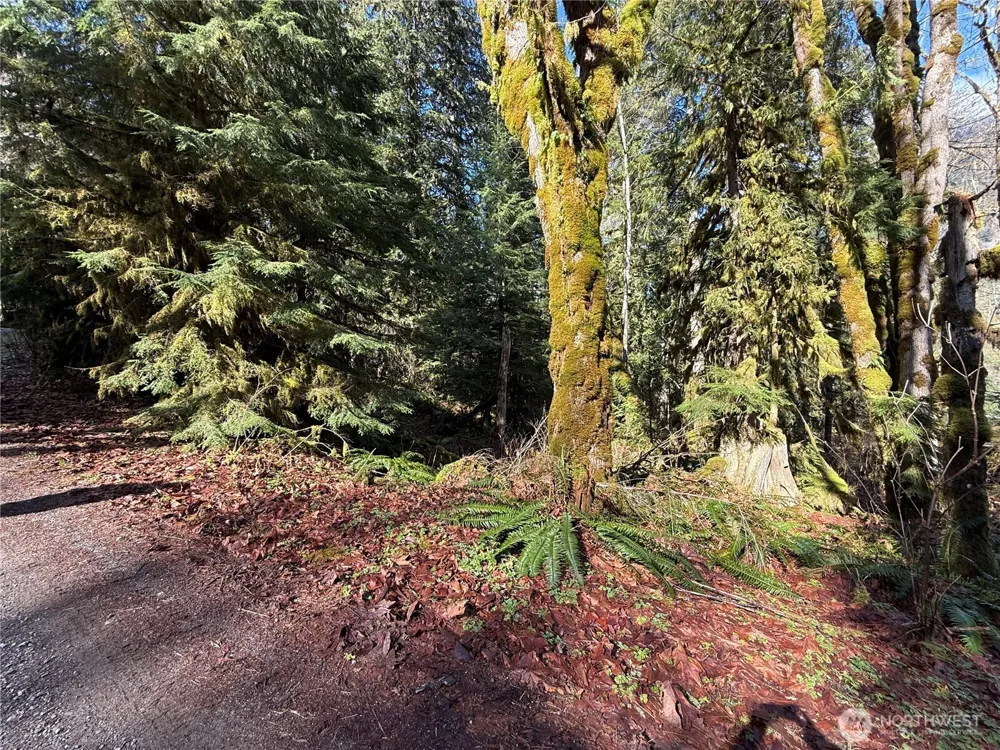 0 High Ridge Drive Marblemount, WA 98267