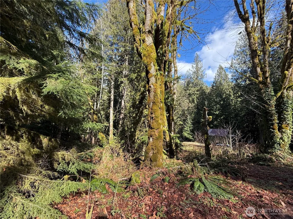 0 High Ridge Drive Marblemount, WA 98267