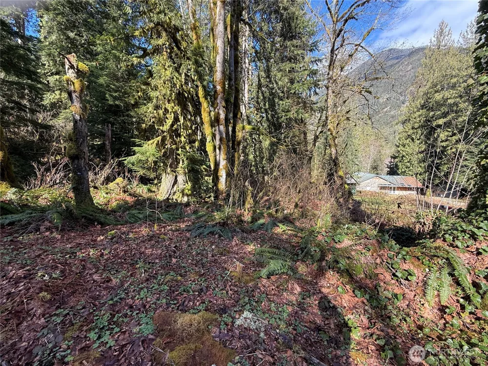 0 High Ridge Drive Marblemount, WA 98267