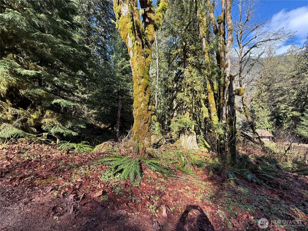 0 High Ridge Drive Marblemount, WA 98267