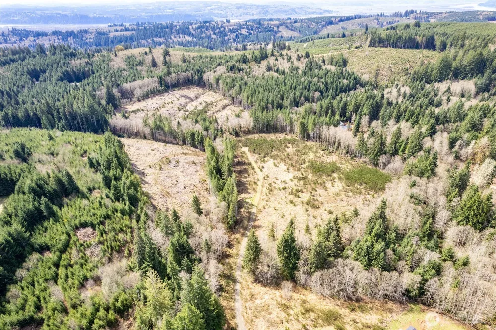 1319 Eufaula Heights Road Longview, WA 98632