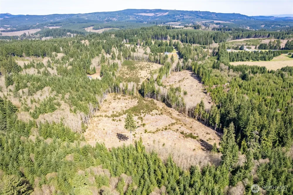 1319 Eufaula Heights Road Longview, WA 98632