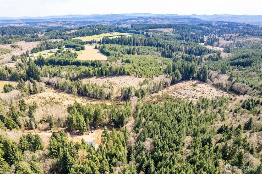 1319 Eufaula Heights Road Longview, WA 98632