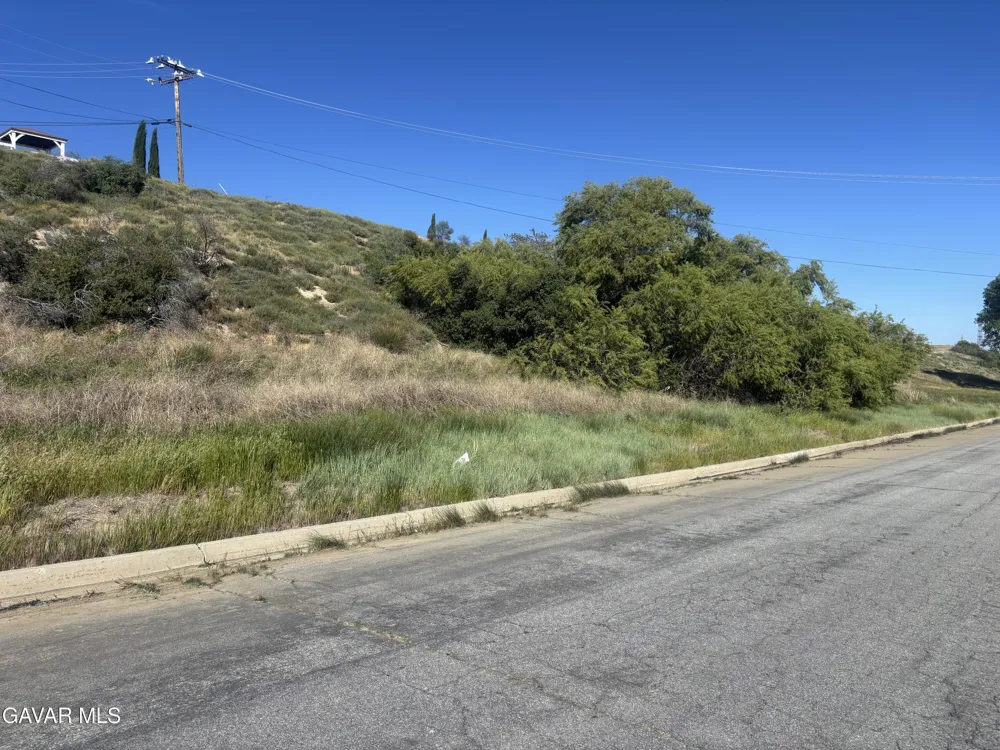 0 W Kiptree Dr Vic Deerbank Drive Lake Elizabeth, CA 93532