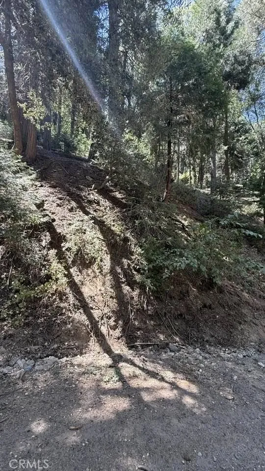 34207243 Mojave River Rd. Cedarpines Park, CA 92322