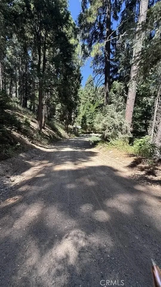 34207243 Mojave River Rd. Cedarpines Park, CA 92322