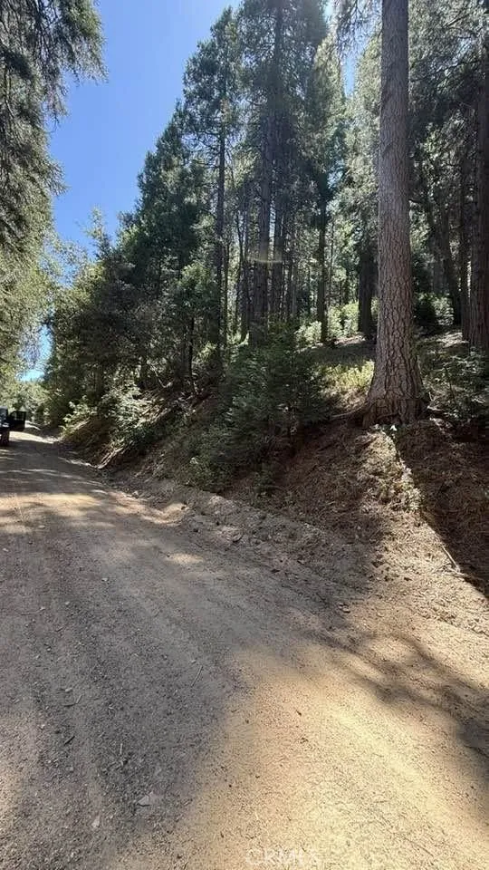 34207243 Mojave River Rd. Cedarpines Park, CA 92322