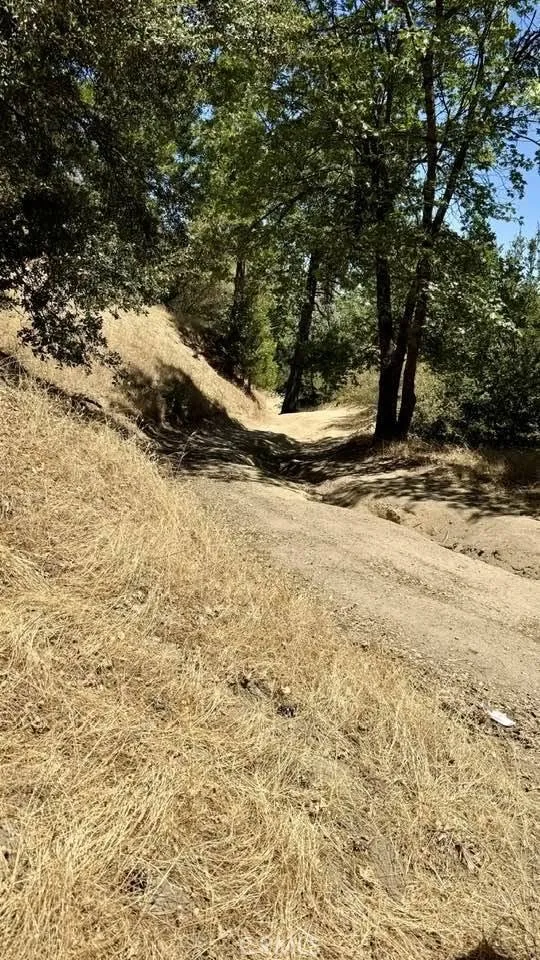 34301574 Mojave View Drive Cedarpines Park, CA 92322