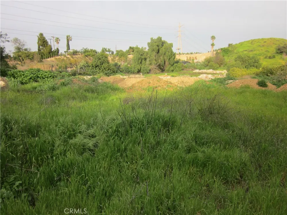 11819 Kagel Canyon Lakeview Terrace, CA 91342