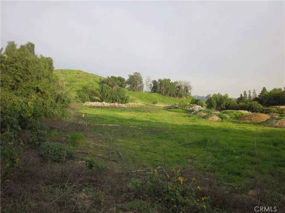 11819 Kagel Canyon Lakeview Terrace, CA 91342