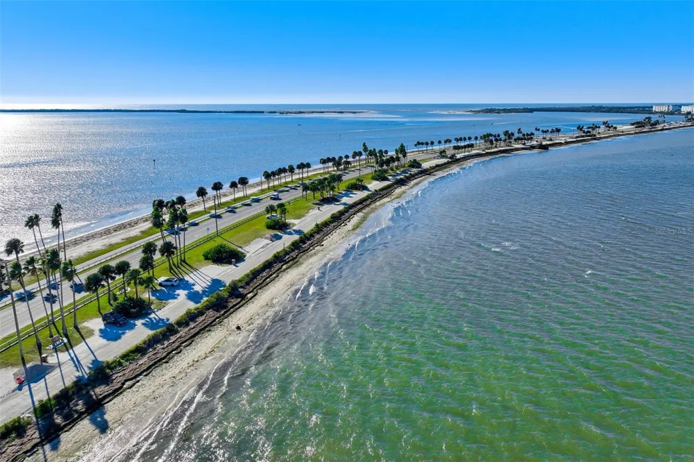 460 S PAULA DRIVE #402 Dunedin, FL 34698