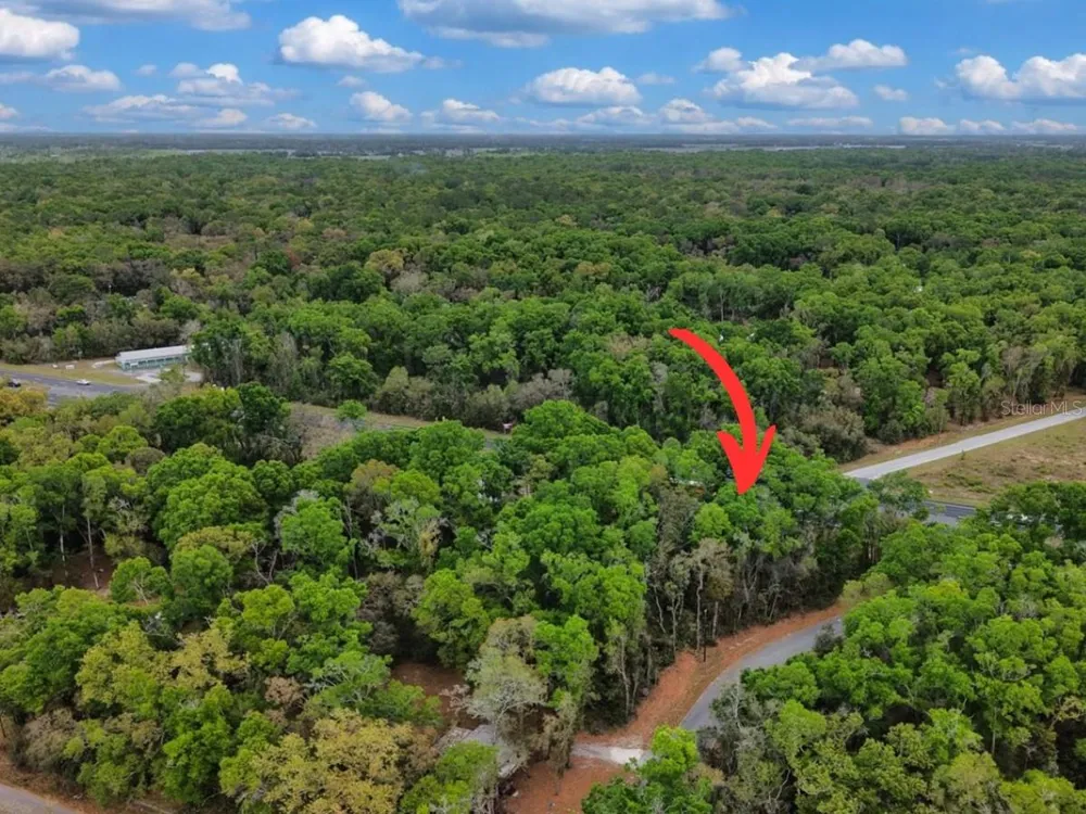 000 NW US HWY 19 Fanning Springs, FL 32693