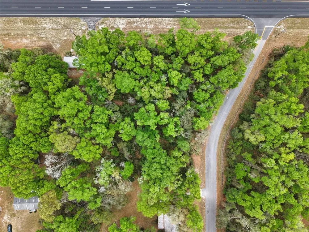 000 NW US HWY 19 Fanning Springs, FL 32693