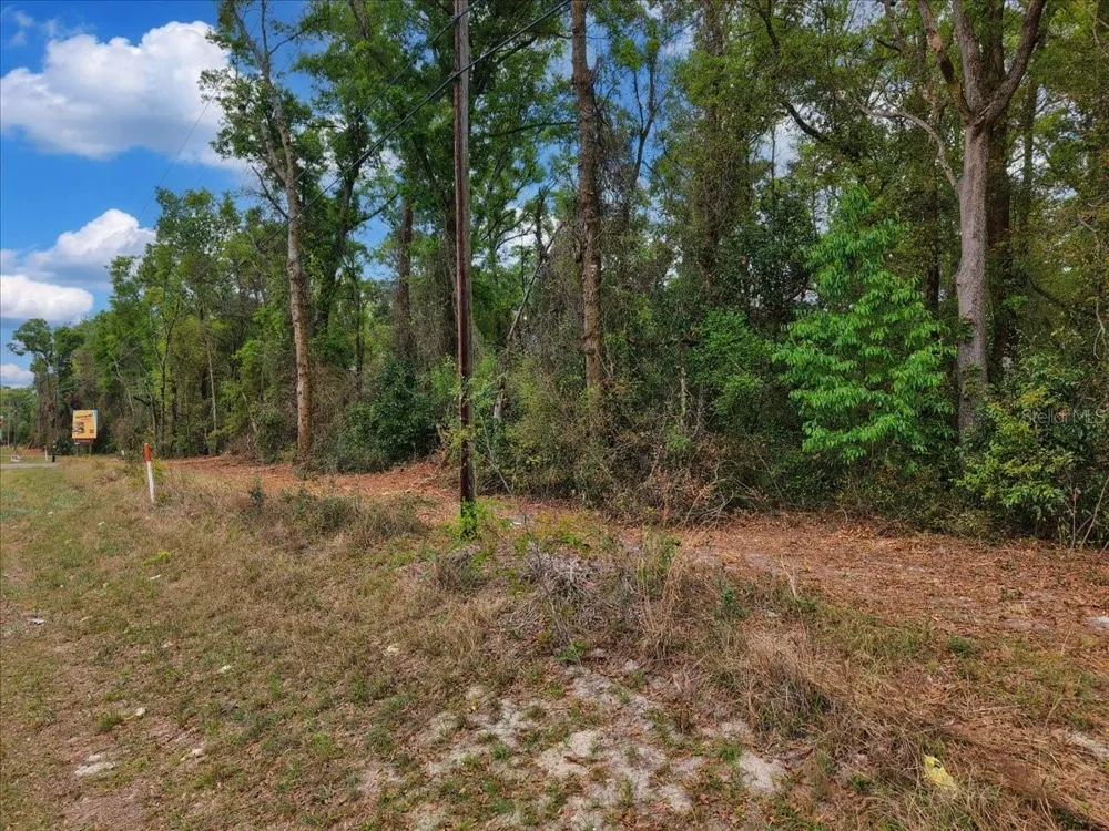 000 NW US HWY 19 Fanning Springs, FL 32693