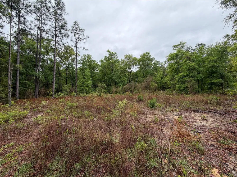 301 RAINBOW DRIVE Hawthorne, FL 32640