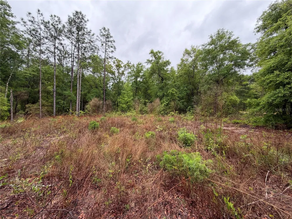 301 RAINBOW DRIVE Hawthorne, FL 32640