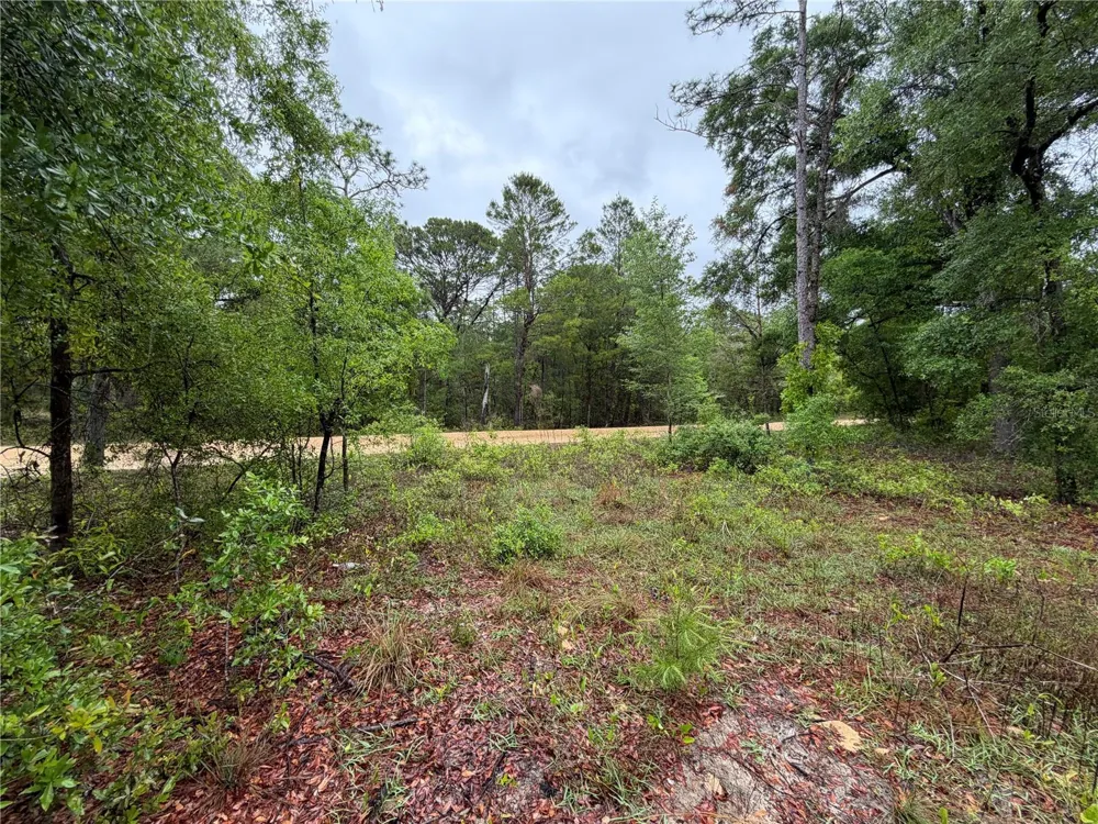 301 RAINBOW DRIVE Hawthorne, FL 32640