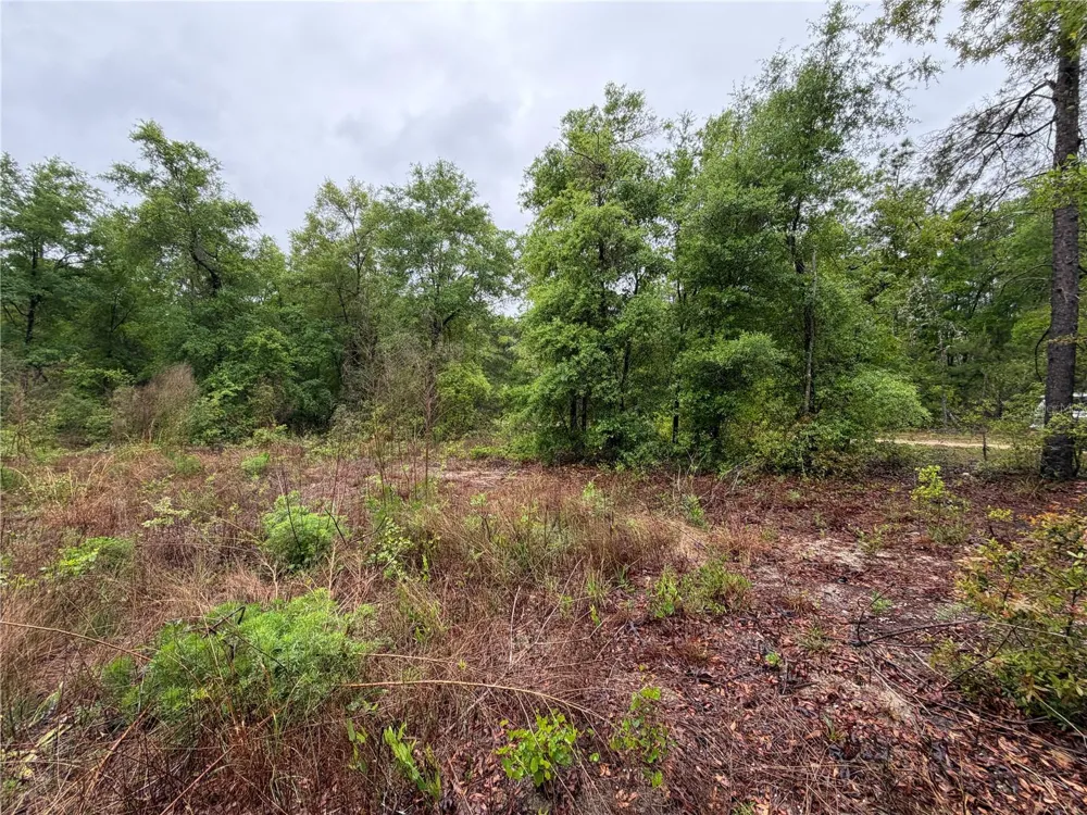 301 RAINBOW DRIVE Hawthorne, FL 32640