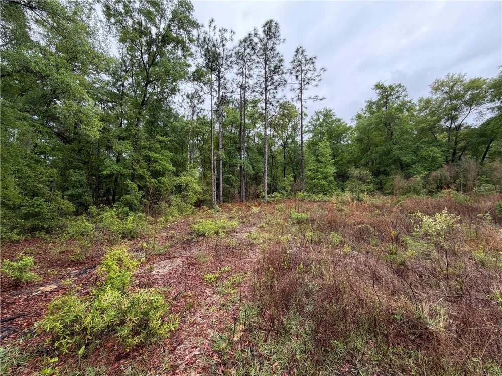 301 RAINBOW DRIVE Hawthorne, FL 32640