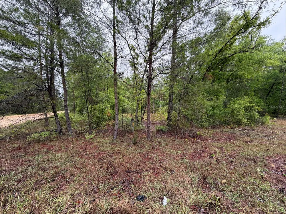 301 RAINBOW DRIVE Hawthorne, FL 32640