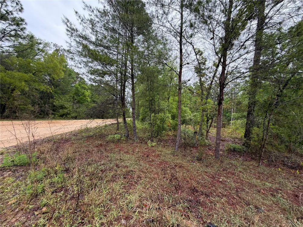 301 RAINBOW DRIVE Hawthorne, FL 32640