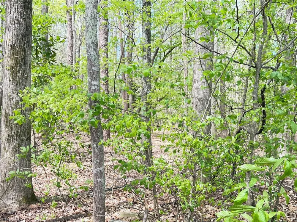 599 Cornatzer Road Mocksville, NC 27028