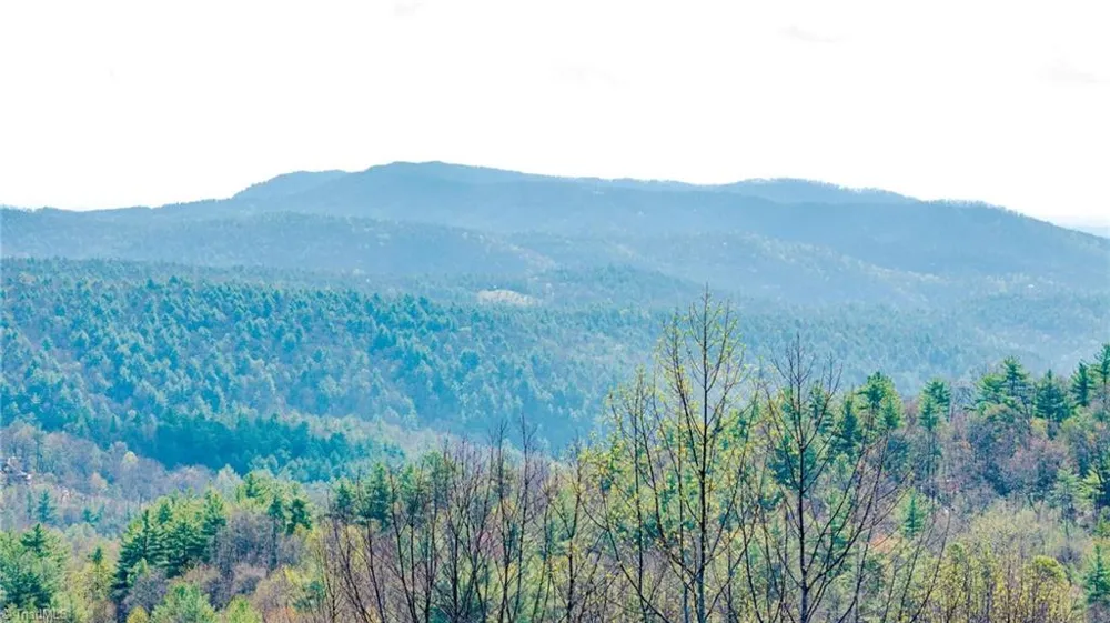 59(7C) 60 (6) Cielo Falls Drive Purlear, NC 28665