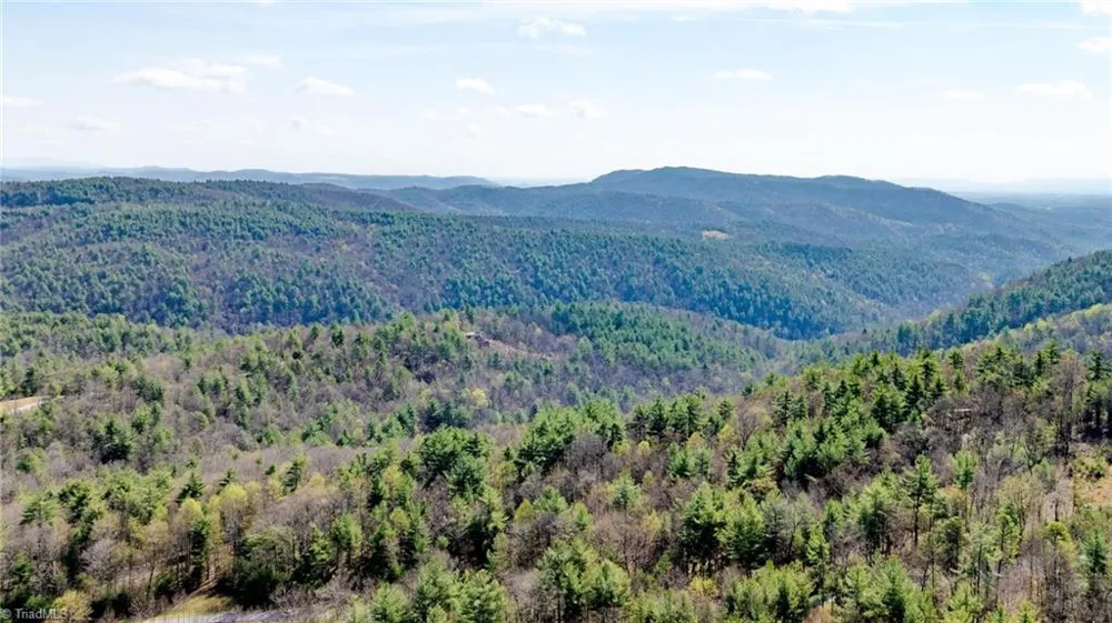 59(7C) 60 (6) Cielo Falls Drive Purlear, NC 28665