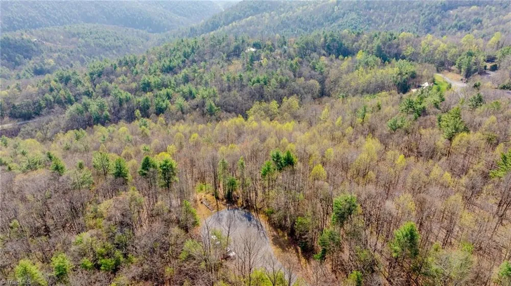 59(7C) 60 (6) Cielo Falls Drive Purlear, NC 28665