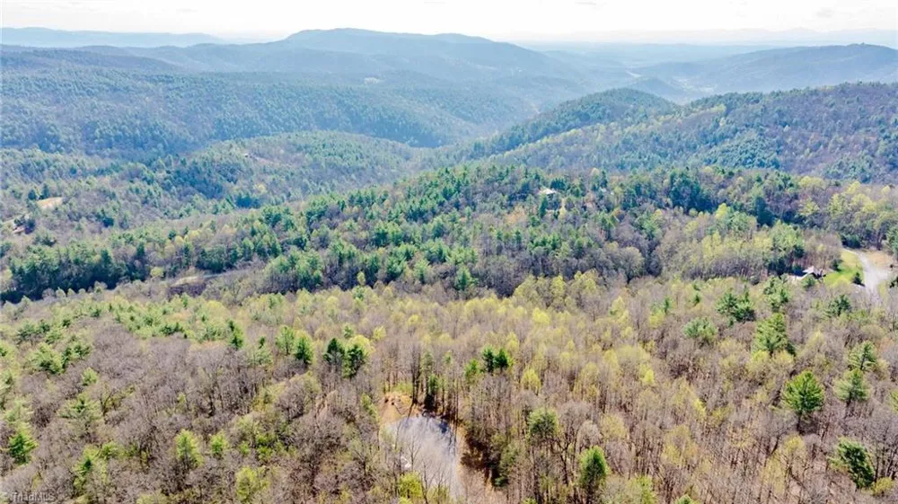 59(7C) 60 (6) Cielo Falls Drive Purlear, NC 28665