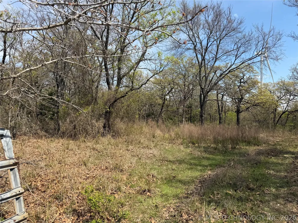 10 County Road 3410 Roff, OK 74820
