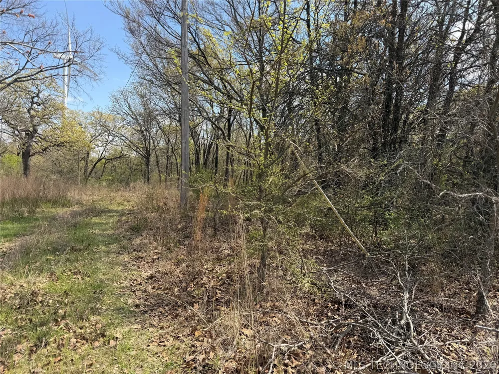 10 County Road 3410 Roff, OK 74820
