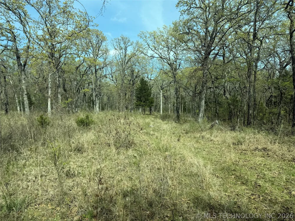 10 County Road 3410 Roff, OK 74820
