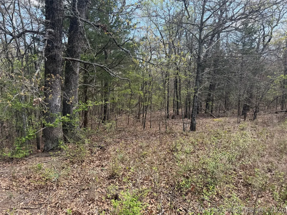 10 County Road 3410 Roff, OK 74820