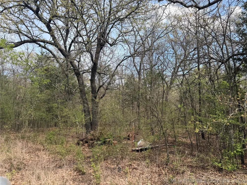 10 County Road 3410 Roff, OK 74820