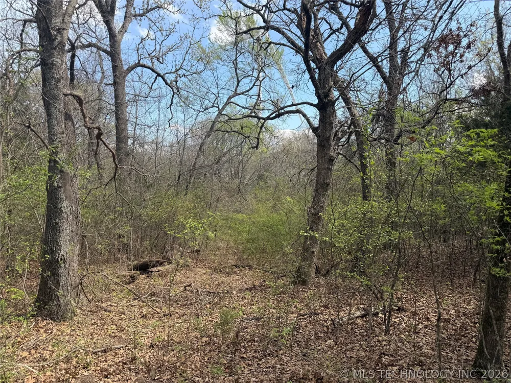 10 County Road 3410 Roff, OK 74820
