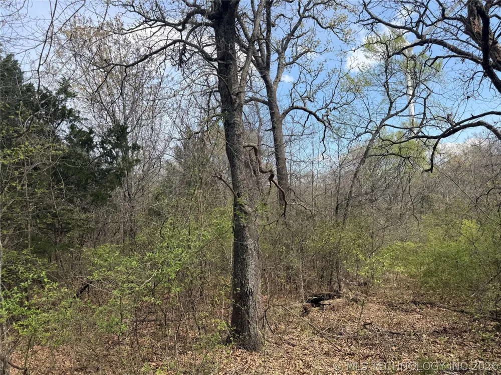 10 County Road 3410 Roff, OK 74820