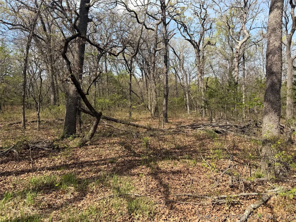 10 County Road 3410 Roff, OK 74820