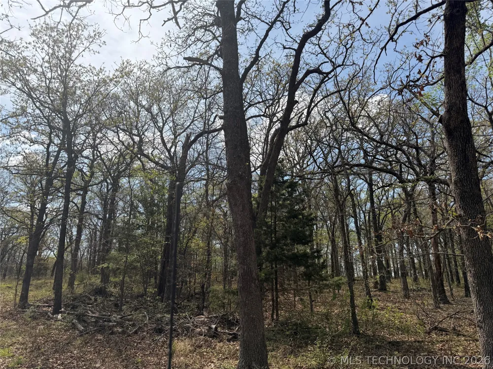 10 County Road 3410 Roff, OK 74820